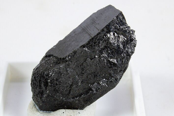 Rare, Raw Chevkinite-(Ce) Specimen - Pakistan #345850